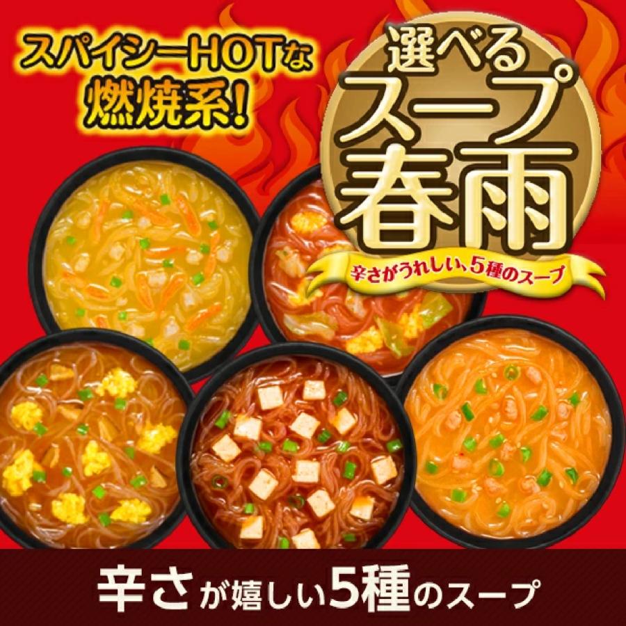 じっくりコトコト・お茶漬け・みそ汁 スープ春雨10箱まとめ売り ひかり味噌 選べるスープ春雨 詰め合わせ 3種(各1袋) 計32食分 定番