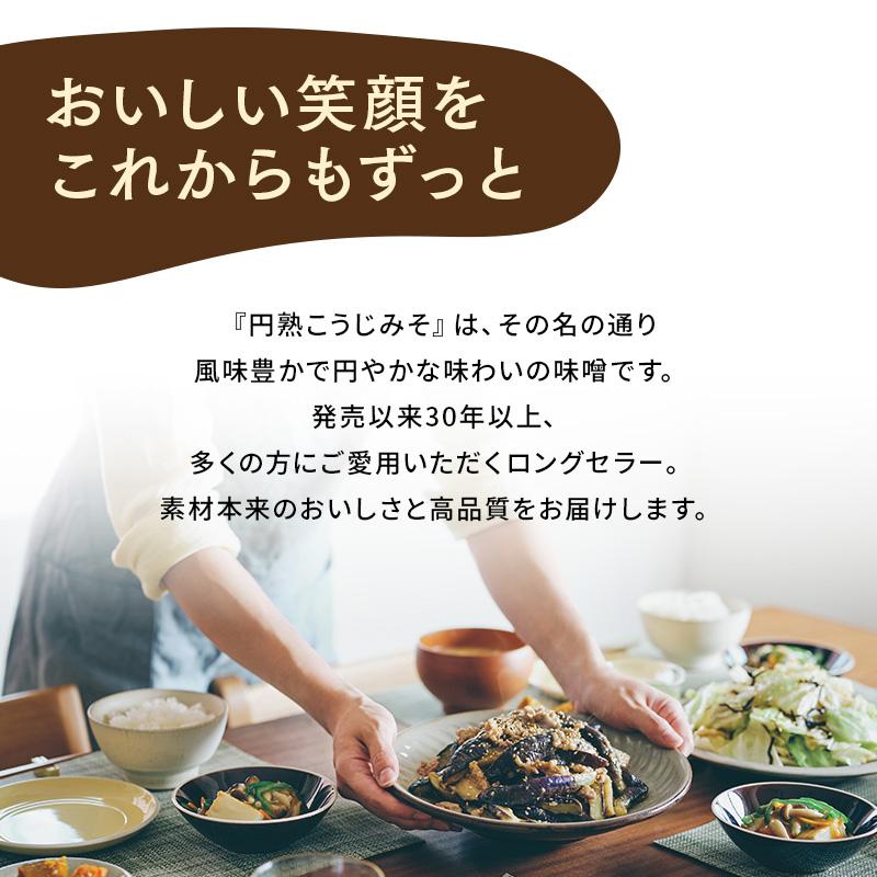 ひかり味噌 味噌 無添加 まとめ買い 円熟こうじみそ減塩750g 1箱8個入