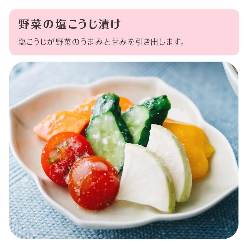 ひかり味噌 塩麹ボトル お試し1本 生塩こうじ 麹の花 580g 塩糀 国産米