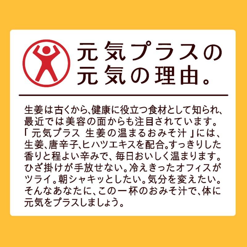 味噌汁100食セット 5種の野菜みそ汁40食＋元気プラス味噌汁3種各20食(オルニチン 鉄分 生姜) 送料無料 食品 即席 インスタント ひかり味噌 福袋｜hikarimiso｜19