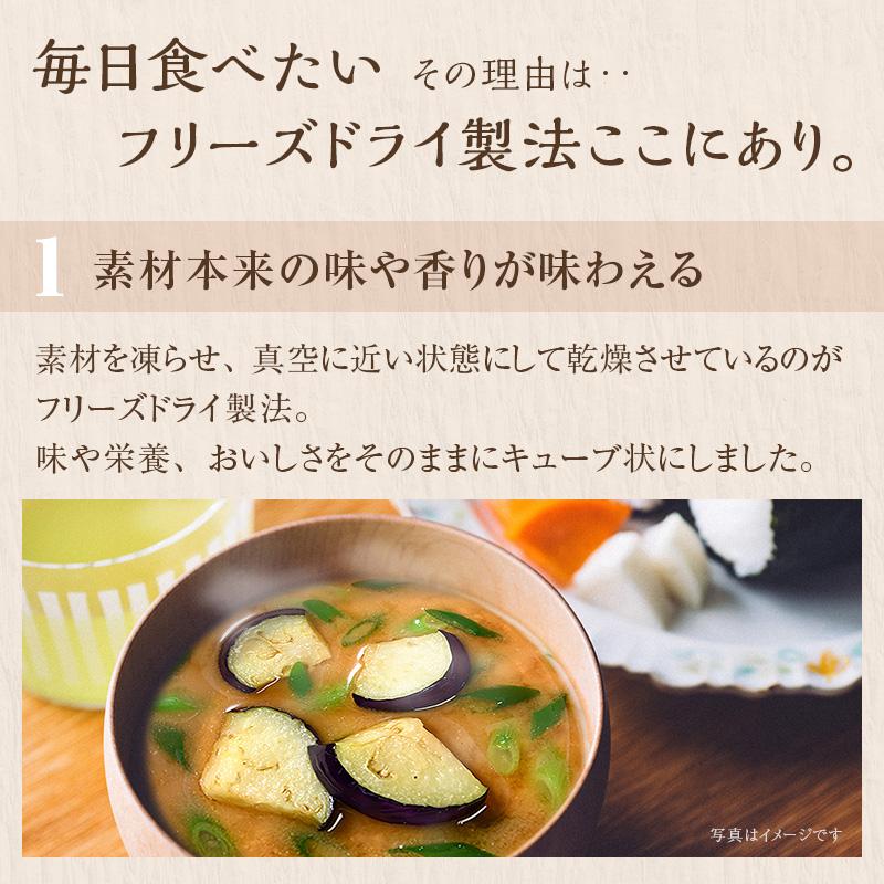 ひかり味噌 具だくさん 味噌汁 120食 5種の野菜を味わう味噌汁40食