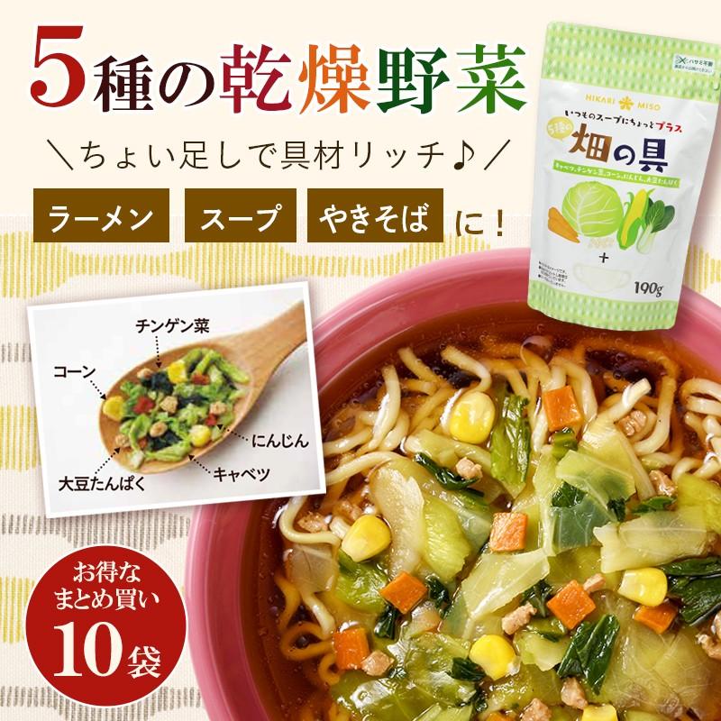 まとめ買い セット割 5種の乾燥野菜ミックス190g 10袋 乾燥具材 お家 ラーメン スープの具 お徳用 焼きそば 非常食 保存食 防災 福袋｜hikarimiso