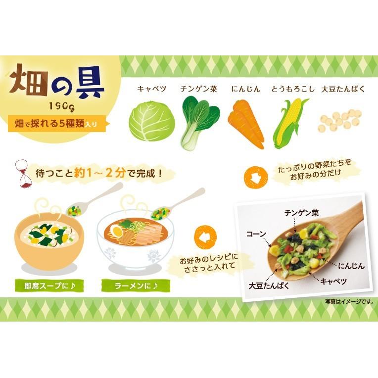 5種の乾燥野菜ミックス190g 畑の具 3袋 送料無料 お家 ラーメンの具 スープの具 やきそばの具 具材 保存食 ひかり味噌 防災｜hikarimiso｜02