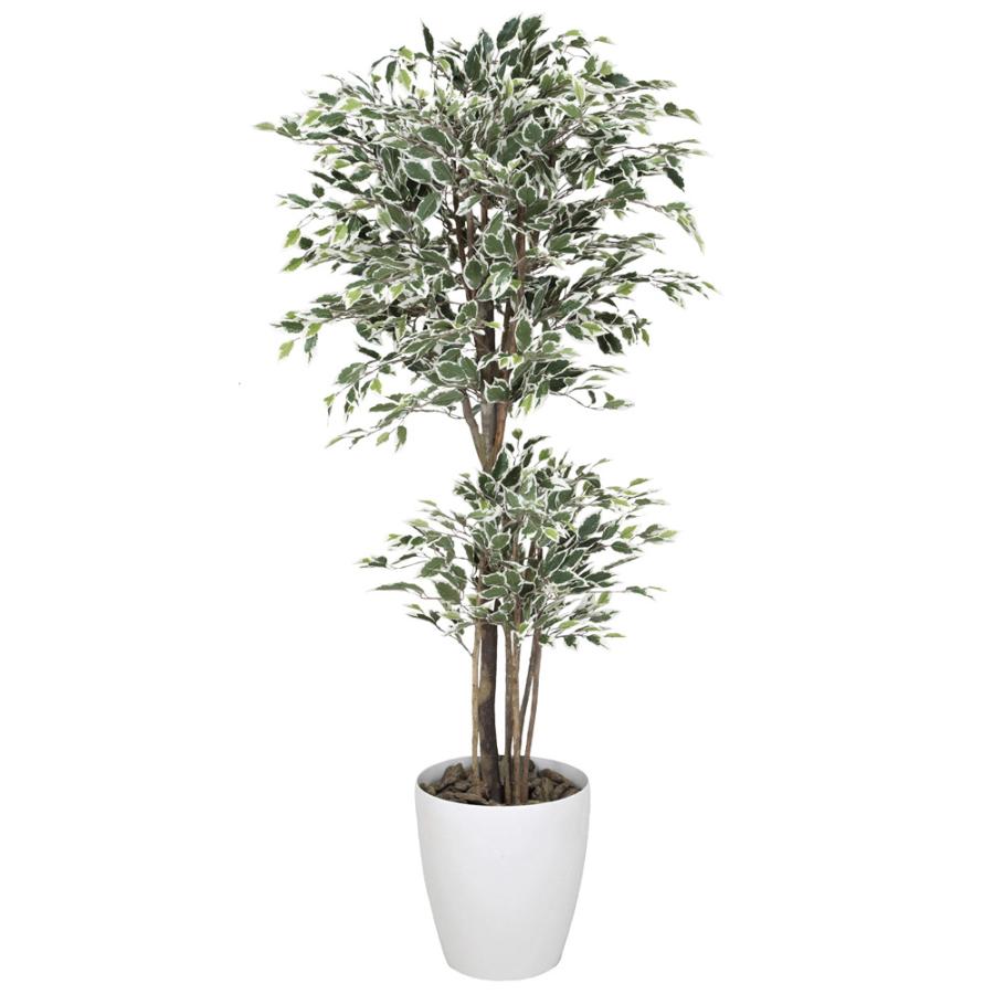 上質で快適 光触媒 人工観葉植物 光の楽園 トロピカルベンジャミン斑入り 高さ 1 6m 166g450 光触媒人工植物 光の楽園yahoo 店 通販 Yahoo ショッピング 50 Off Www Jolimmo Ch