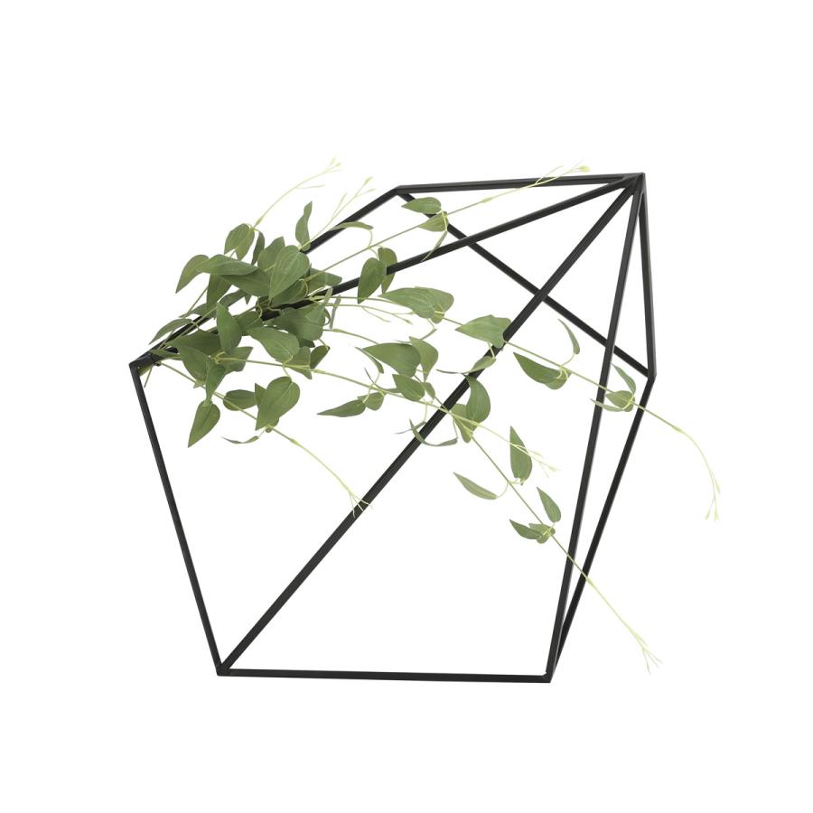 光触媒　人工観葉植物　ウォールグリーン　フェイクグリーン　壁面緑化リキュウソウ 光触媒 光の楽園 壁面緑化リキュウソウ : 光の楽園公式ショップYahoo