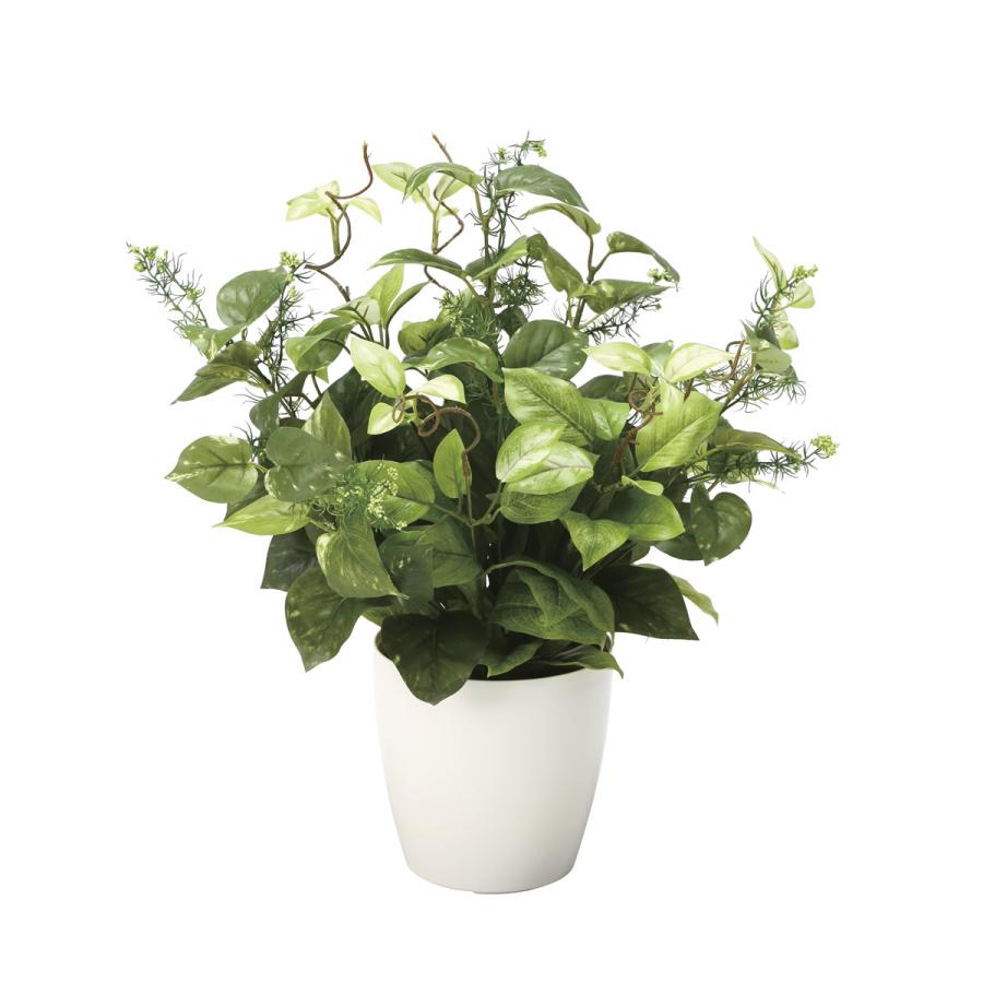 送料無料 フェイクグリーン 人工観葉植物 光触媒 150cm ポトス 光触媒 人工観葉植物 光の楽園 ミックスポトス : 光の楽園公式ショップ