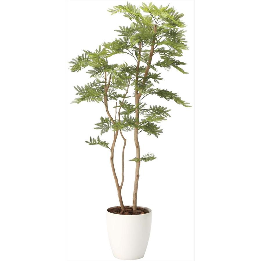 光触媒 人工観葉植物 光の楽園 ねむの木 高さ 1 8m 2106a460 光触媒人工植物 光の楽園yahoo 店 通販 Yahoo ショッピング