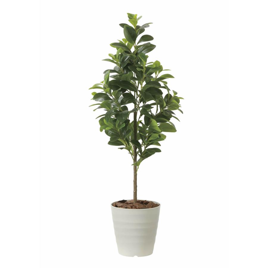 光触媒　人工観葉植物　フェイクグリーン　フレッシュマネーツリー1.15m フェイクグリーン 光触媒 光の楽園 フレッシュマネーツリー 1.15m 人工