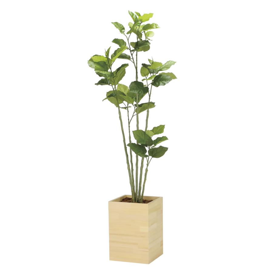 光触媒　人工観葉植物　フェイクグリーン　ウッドボックスウンベラータ1.8m フェイクグリーン 光触媒 光の楽園 ウッドボックスウンベラータ1.8m