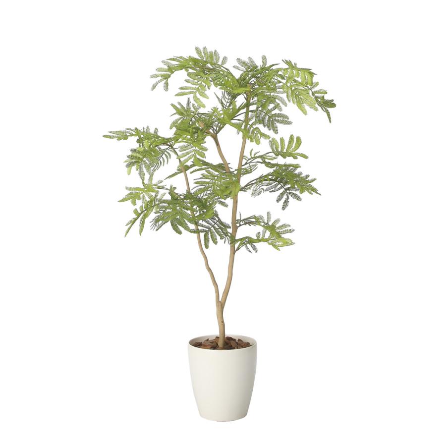 光触媒　人工観葉植物　ウォールグリーン　フェイクグリーン　ねむの木90 フェイクグリーン 光触媒 光の楽園 ねむの木90 人工観葉植物 : 光の