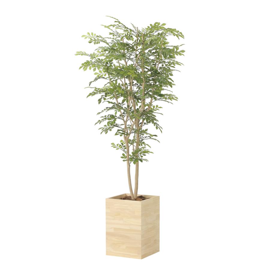 光触媒　人工観葉植物　フェイクグリーン　ウッドボックストネリコミックス1.8m フェイクグリーン 光触媒 光の楽園 ウッドボックストネリコミックス1.8