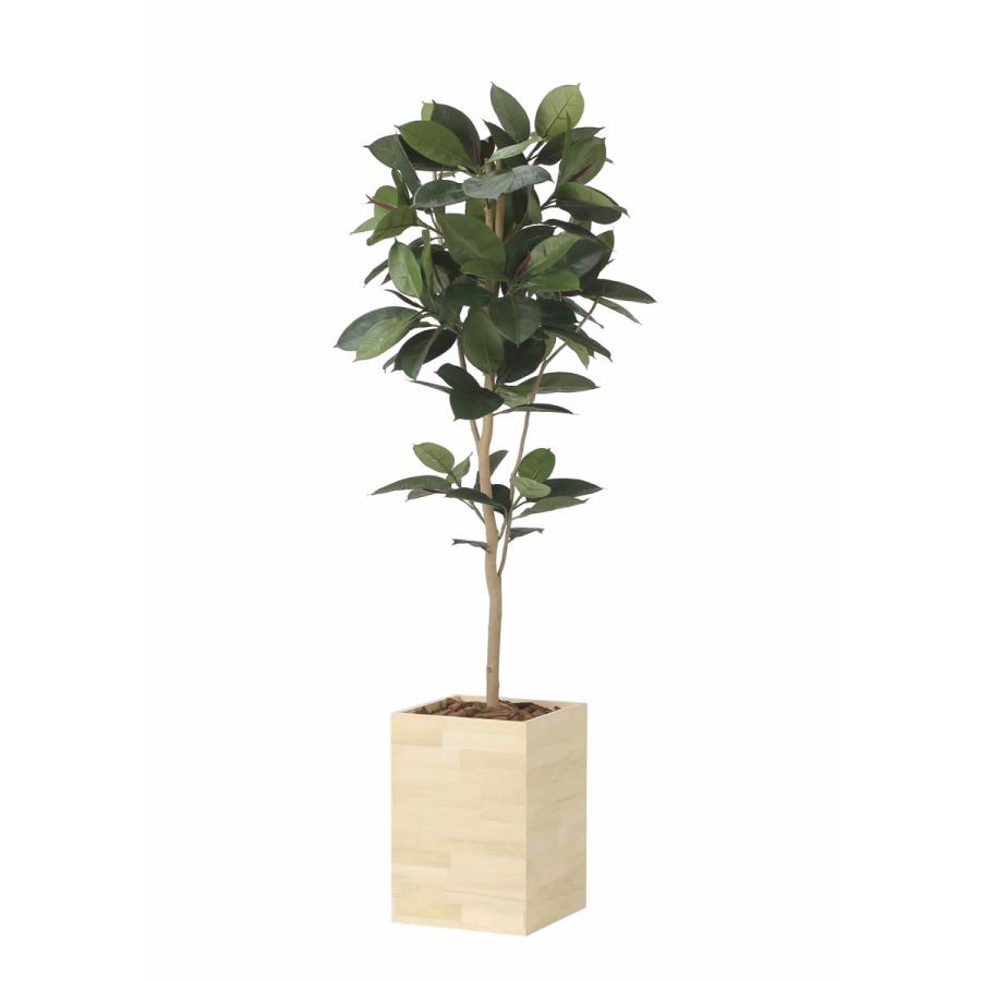 光触媒　人工観葉植物　フェイクグリーン　ウッドボックスゴムの木1.8 フェイクグリーン 光触媒 光の楽園 ウッドボックスゴムの木1.8m