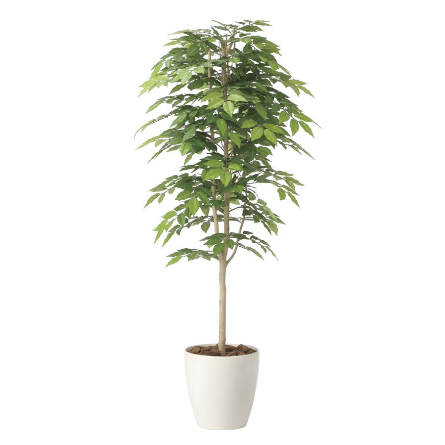 光触媒　人工観葉植物　ウォールグリーン　フェイクグリーン　ケヤキ1.6 フェイクグリーン 光触媒 光の楽園 ケヤキ1.6 人工観葉植物 : 光の楽園