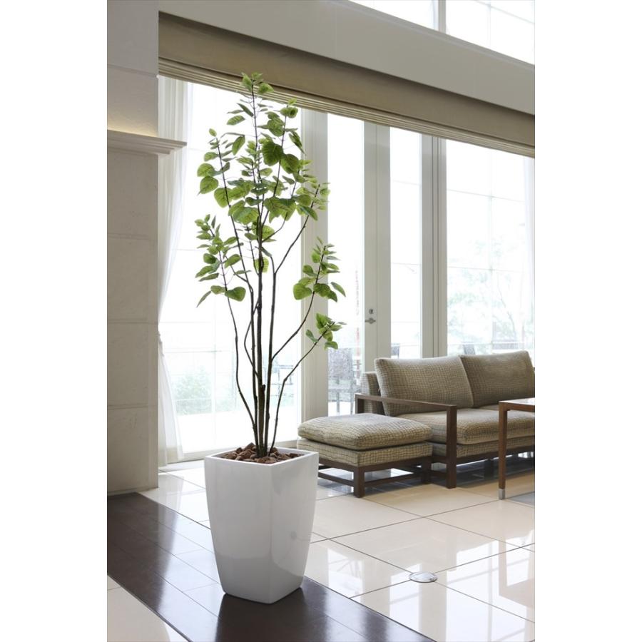 安い 光触媒人工観葉植物 アーバンブランチツリー1 9m 711a450 光触媒人工植物 光の楽園yahoo 店 通販 Yahoo ショッピング 楽天市場 Web Escgroup Com