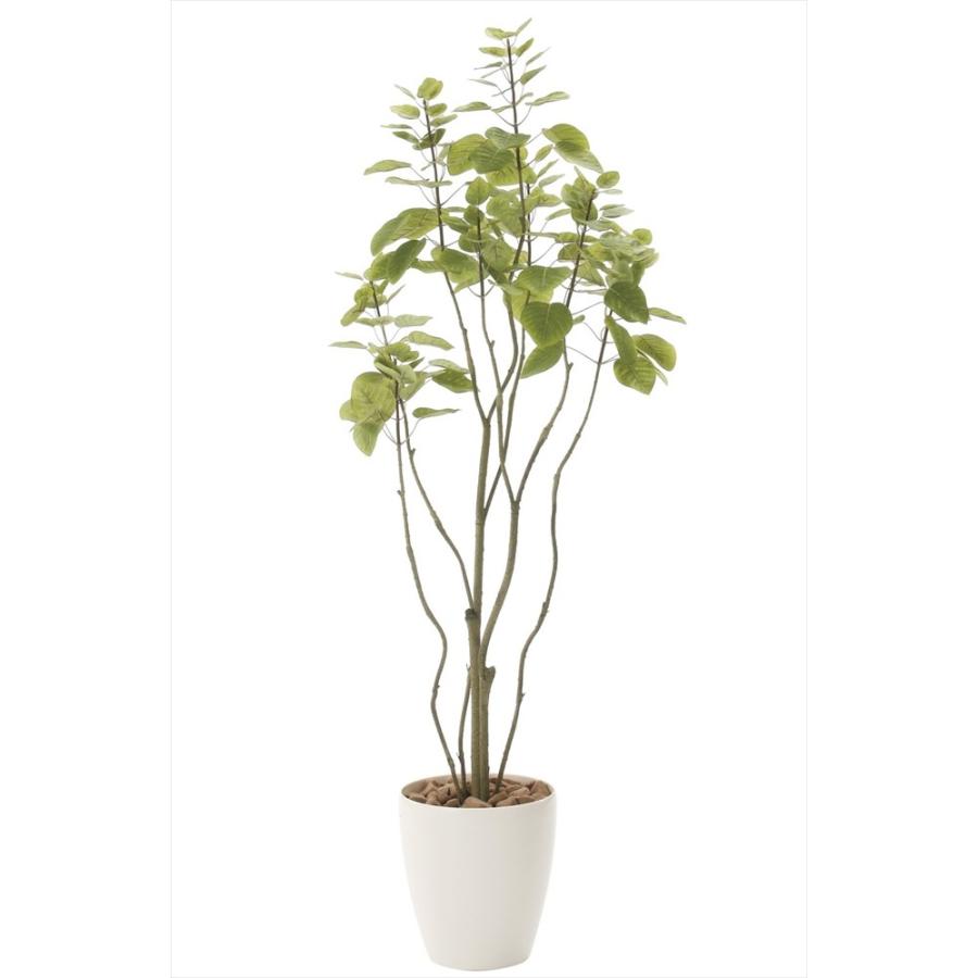 フェイクグリーン 人工観葉植物 光の楽園 フィカスブランチツリー 高さ
