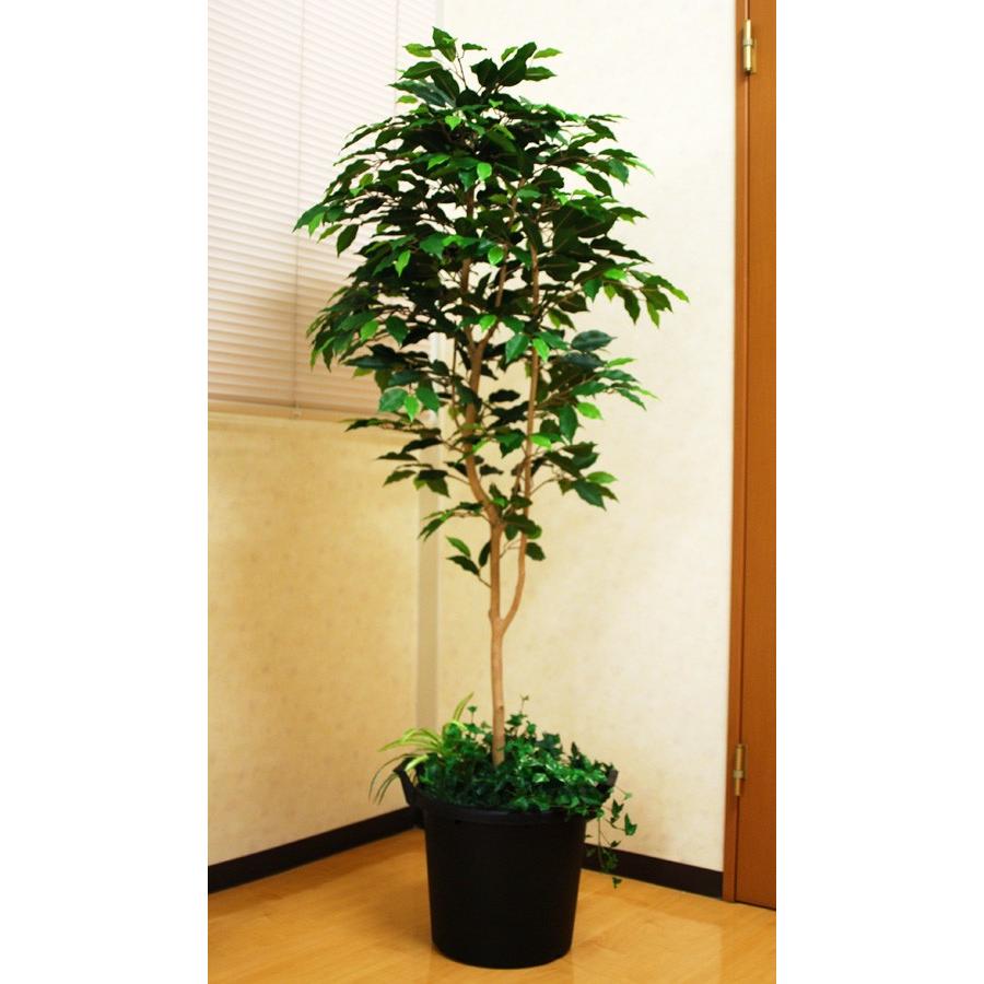 フェイクグリーン 光の楽園 光触媒 人工観葉植物 ベンジャミン1.6m