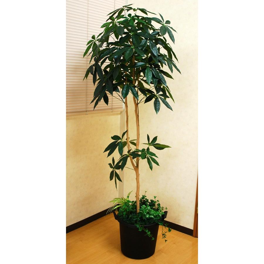 フェイクグリーン 光の楽園 光触媒 人工観葉植物 パキラツリー1.8m