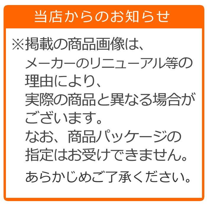 エナジークエスト 燃やしま専科 レモン風味 500g 66621 EQ-001Z｜hikarisp｜02