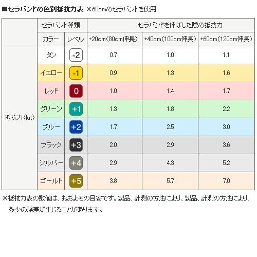 トレーニング用具 #TBB0 Thera-Band（セラバンド）タン/ワンカットサイズ２Ｍ 強度：エクストラシン 筋トレ リハビリ エクササイズバンド トレーニング用ゴム | D&M | 01
