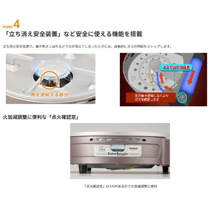 Iwatani 岩谷産業 [お得]焼肉プレートLセット（取っ手付