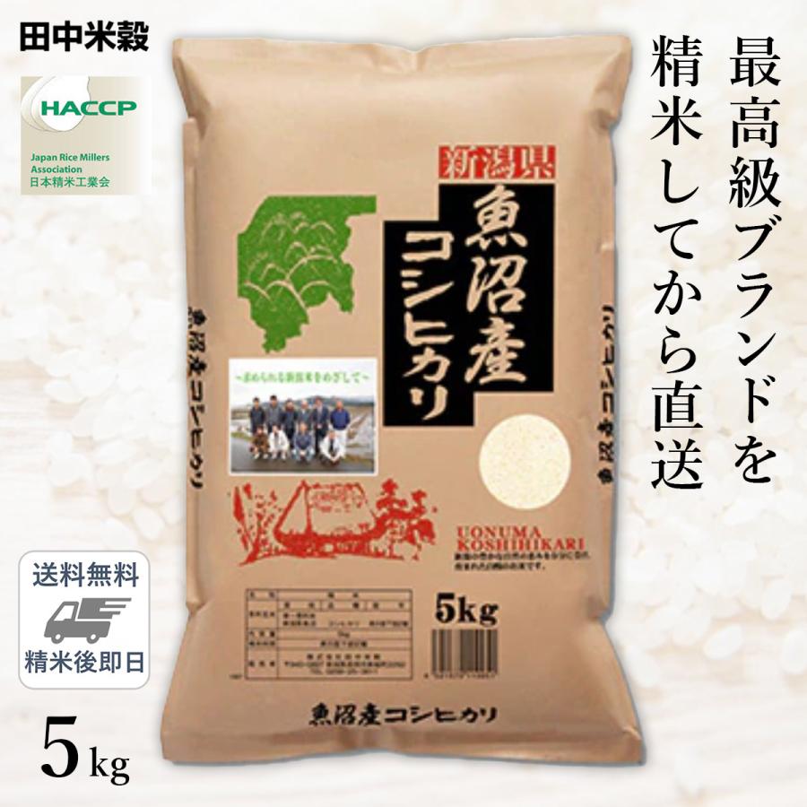 □令和6年産 本場 新潟県 魚沼産 コシヒカリ 5kg(1袋)/五つ星お □令和6年産 本場 新潟県 魚沼産 コシヒカリ 5kg(1袋)/五つ星お