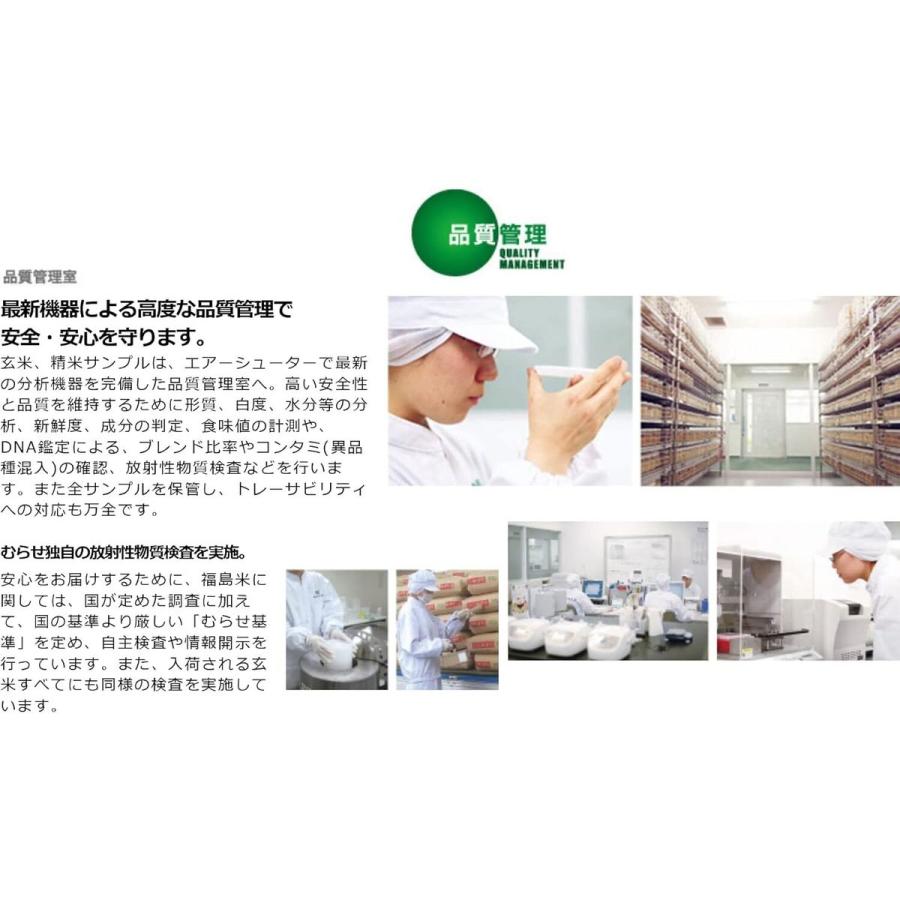 新米 無洗米 北海道産 ゆめぴりか 10kg(5kg×2袋) 令和7年産 むらせ