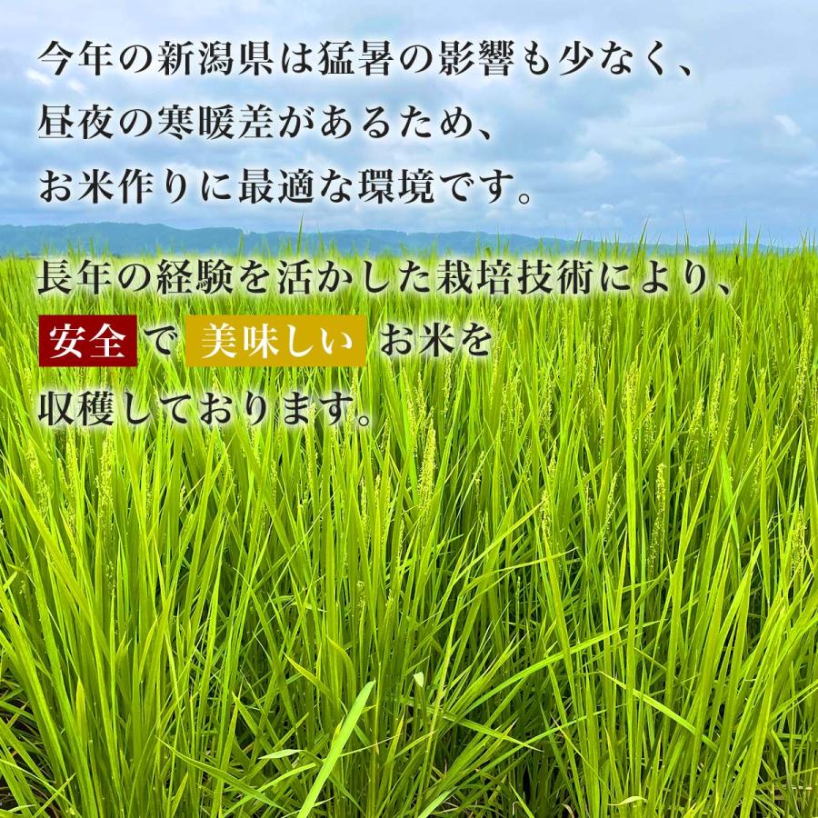 □令和6年産 本場 新潟県 魚沼産 コシヒカリ 10kg(5kg&times;2袋)/五つ星お米マイスター監修