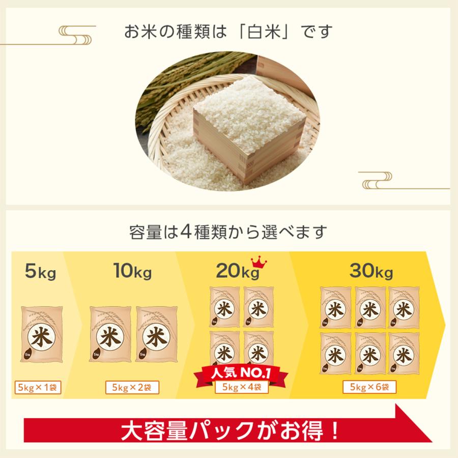 令和7年産 五ツ星お米マイスター厳選 新潟県 魚沼産 コシヒカリ 20kg