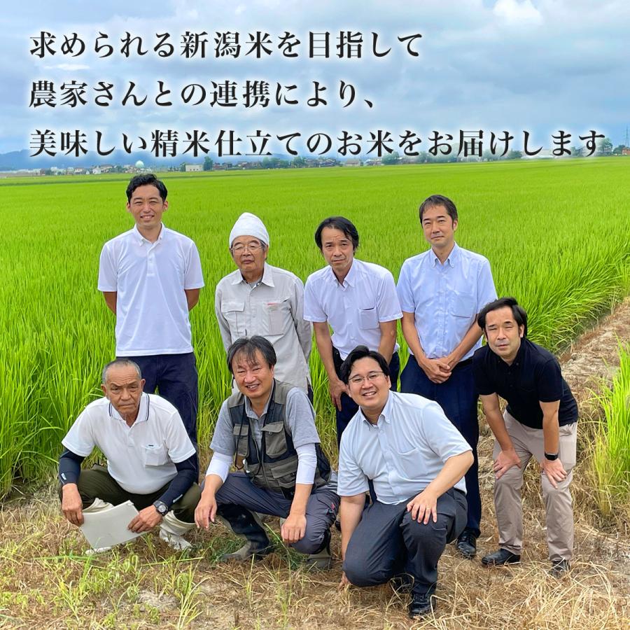 新米令和７年　天日干し米２０キロ 令和7年産 五ツ星お米マイスター厳選 1等米 新潟県産 新之助 20kg(5kg