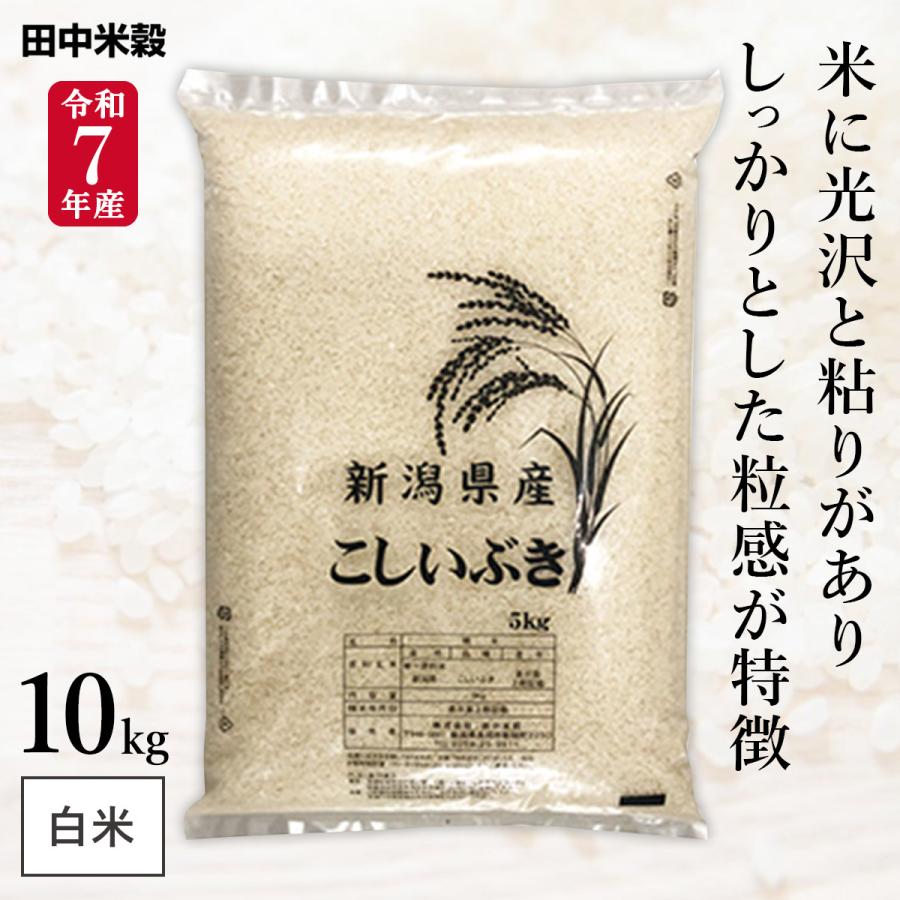令和7年産 五ツ星お米マイスター厳選 新潟県産 こしいぶき 10kg(5kg×2