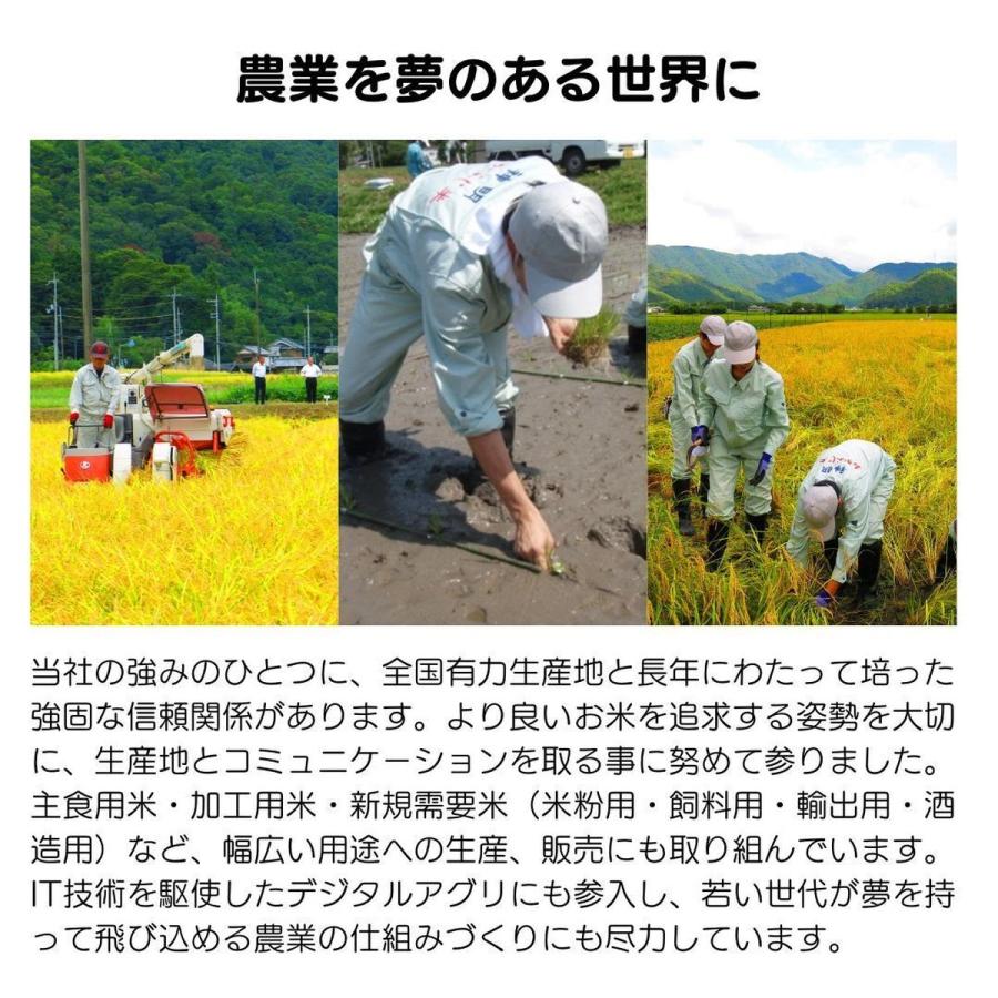令和7年産 北海道産 ななつぼし 20kg(5kg×4袋) まとめ買い 神明 日本の