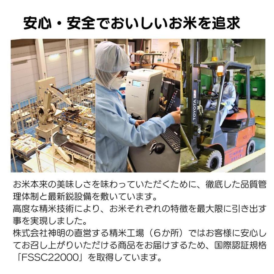 令和7年産 北海道産 ななつぼし 20kg(5kg×4袋) まとめ買い 神明 日本の