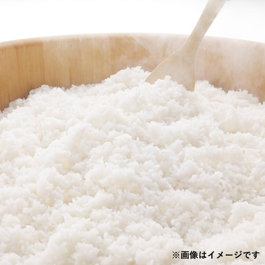 令和7年産 北海道産 ななつぼし 20kg(5kg×4袋) まとめ買い 神明 日本の