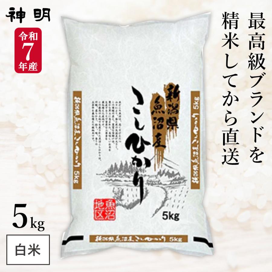 令和7年産 新潟県 魚沼産 コシヒカリ 5kg(1袋) 神明 日本の米卸No.1の