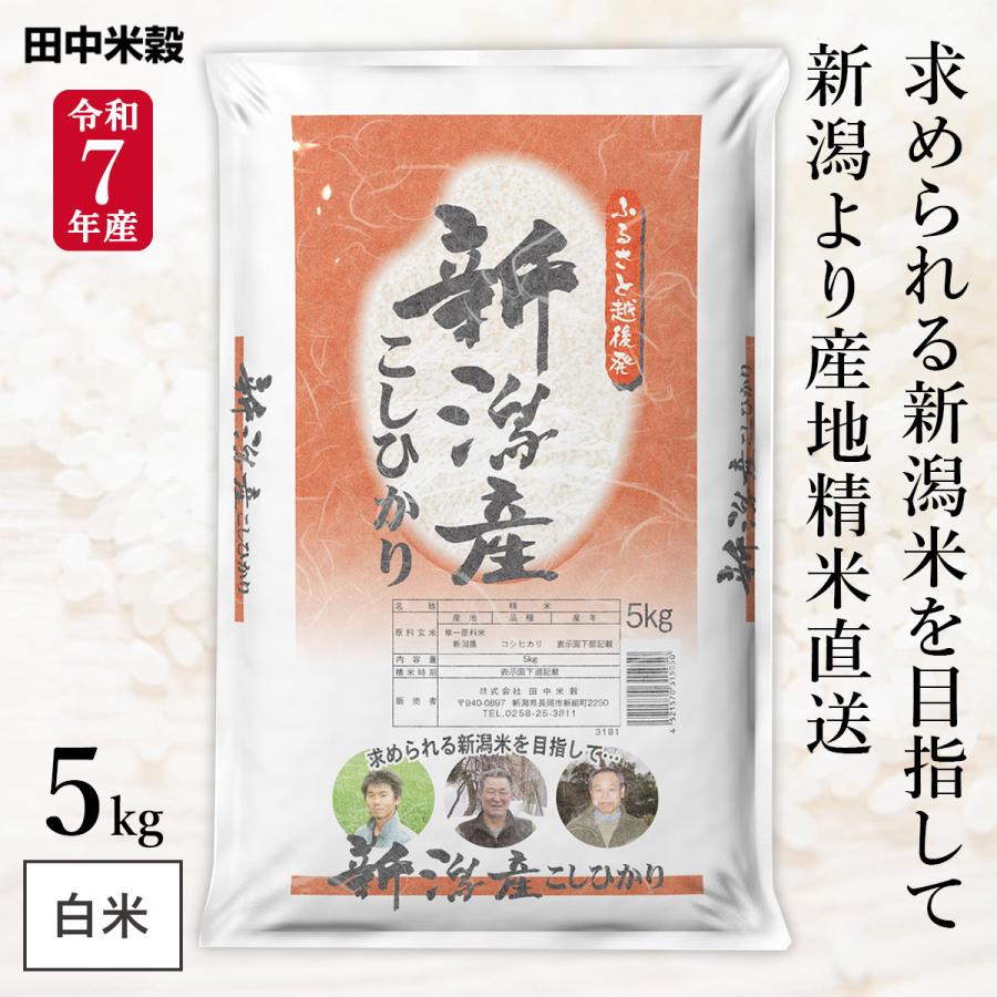 令和7年産 五ツ星お米マイスター厳選 新潟県産 コシヒカリ ふるさと