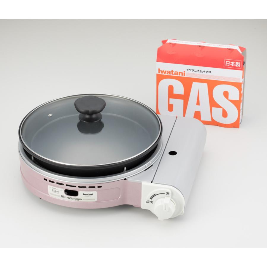 Iwatani（イワタニ） 岩谷産業 [在庫限り]イワタニ カセットコンロ