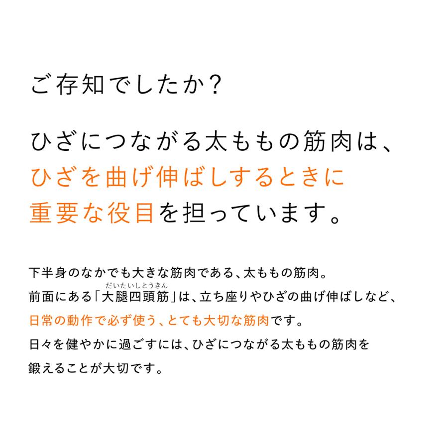レビュー投稿で1000円クーポンGET！／【即納】シックスパッド ニー
