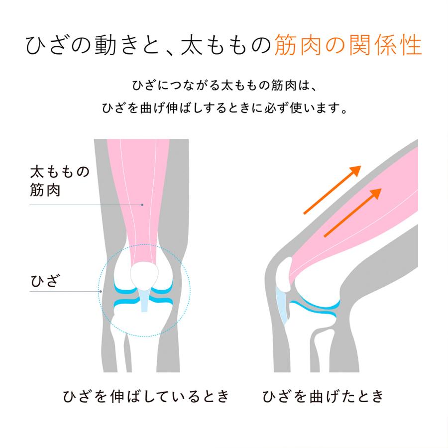 レビュー投稿で1000円クーポンGET！／【即納】シックスパッド ニー