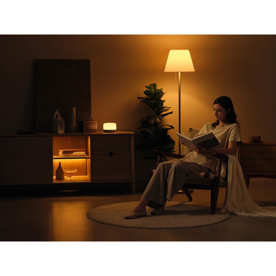 YEELIGHT LEDスマートランプD2 デスクライト Razer Chroma対応