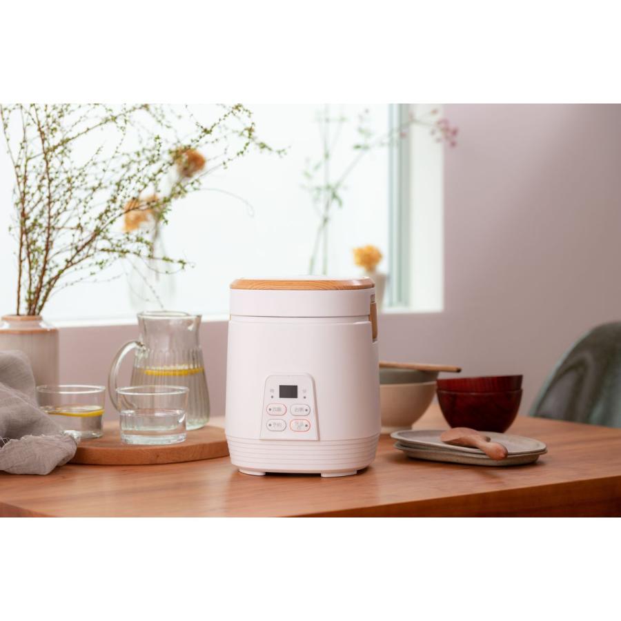アルコレ ミニライスクッカー 小型炊飯器 2合炊き ホワイト ARC-T2001