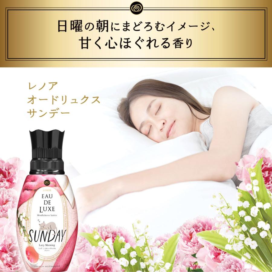 P&G レノア オードリュクス 柔軟剤 マインドフルネスシリーズ サンデー