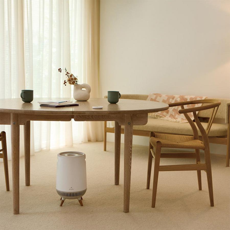 APIX INTERNATIONAL（アピックス インターナショナル） アピックス