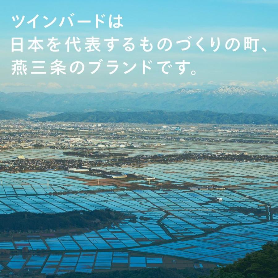 ツインバード TWINBIRD オーブンレンジ 16L フラットテーブル ヘルツフリー 100~200℃ 赤外線センサー 電子レンジ お手入れ簡単 ブラック 黒 DR-E216B