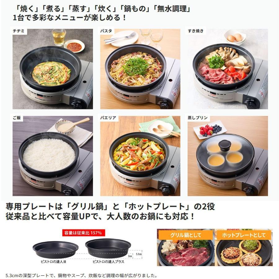 Iwatani（イワタニ） 岩谷産業 【在庫限り】 1台6役 マルチパン