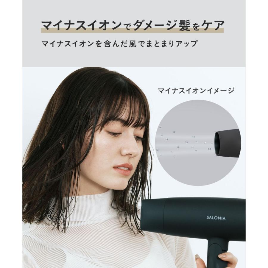 I-ne 【正規品】 サロニア スピーディーイオンドライヤー グレー 3