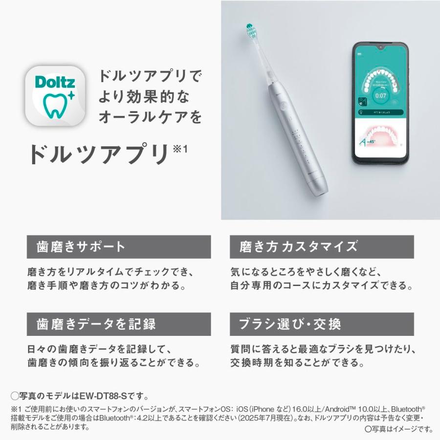 Panasonic（パナソニック） 【5年保証付】 W音波振動ハブラシ シルバー