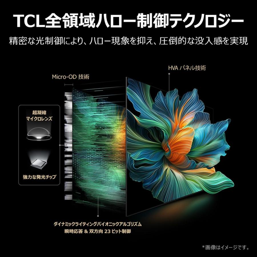 TCL TCL 55V型 液晶テレビ 4K対応 C6K MiniLED 量子ドット 高輝度HDR