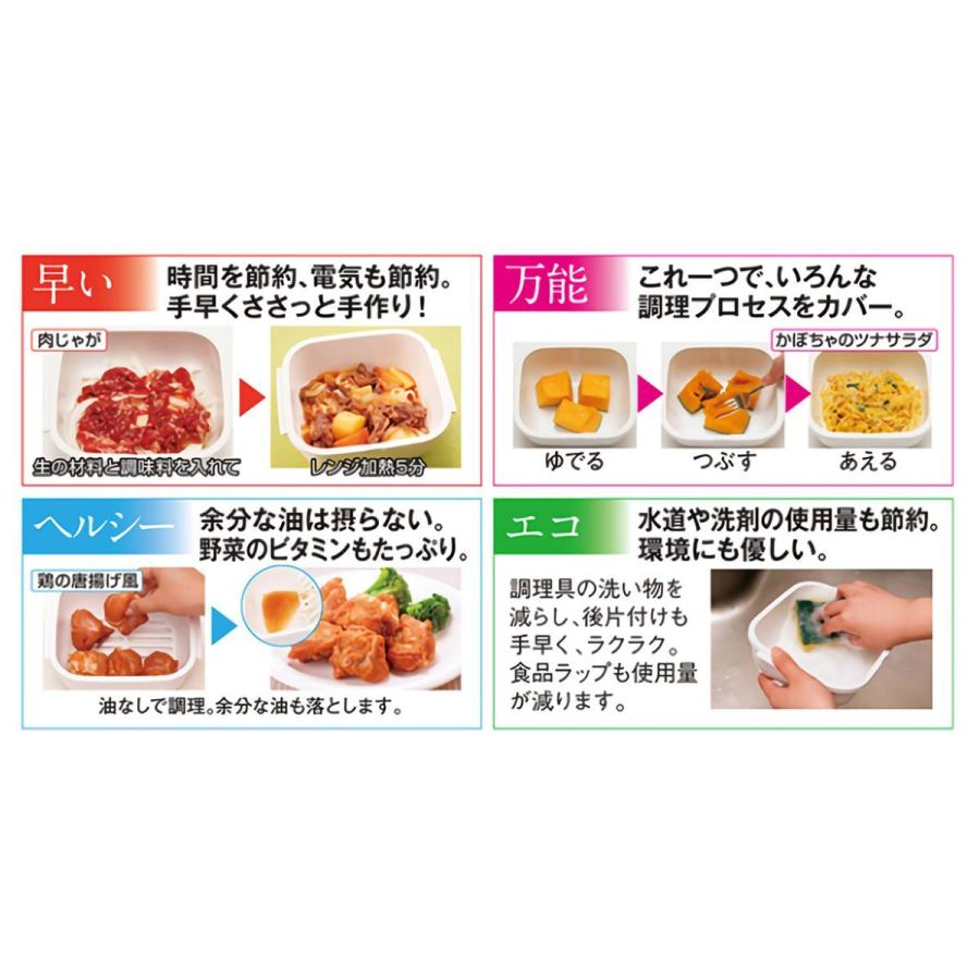 岩谷産業 イワタニ マルチクッキングカプセル グルラボ GOURLAB マルチセット GLB-MS|hikaritv|05