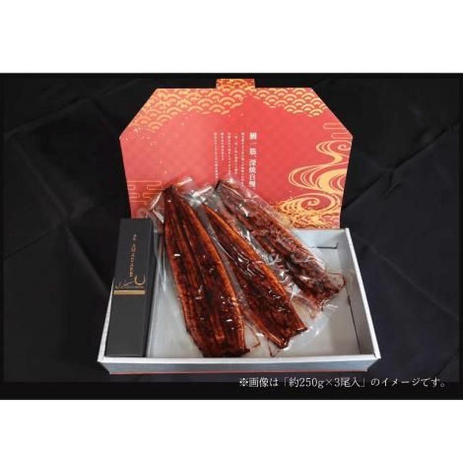 フジ物産 【冷凍】中国産特大サイズ うなぎ蒲焼250g×3本+特製 フジ物産 【冷凍】中国産特大サイズ うなぎ蒲焼250g×3本+特製