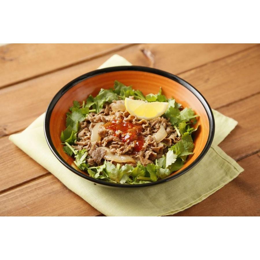 冷凍】吉野家 冷凍牛丼の具 並盛 120g×20袋 肉 夜食 お昼ごはん 冷凍】吉野家 冷凍牛丼の具 並盛 120g×20袋 肉 夜食 お昼ごはん